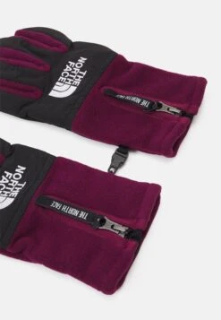 The North Face Denali Etip Glove UnisexGuantiBoysenberry Donna Guanti TH354A00L-G11 -Moda Femminile 70e7c3b3bf9f4de08cd1725b026a182f