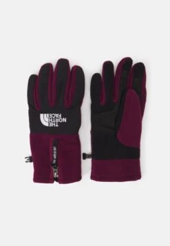 The North Face Denali Etip Glove UnisexGuantiBoysenberry Donna Guanti TH354A00L-G11