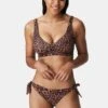 PRIMADONNA Swim HolidayBikini Pezzo SottoSunny Chocolate Donna Moda Mare P0I81I024-O11